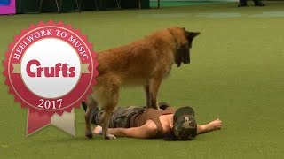 Heelwork To Music  International Freestyle Competition Part 1/3 | Crufts 2017