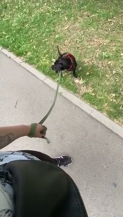 youtube.com
