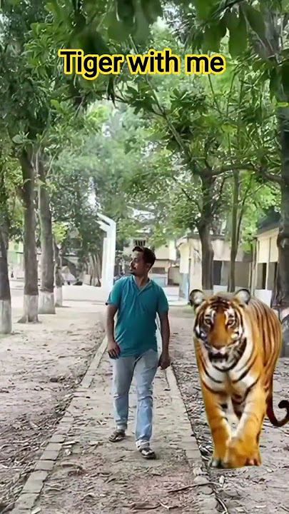 action video edit . Tiger green screen .#fypyoutube #editvideo #video @Pranermothurapur #edit