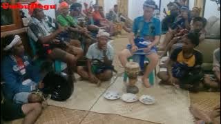 Saiso Ritual adat Sumba barat daya || suara keren sekali.