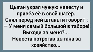 Цыган с Большим Хозяйством Украл Чужую Невесту! Сборник Свежих Анекдотов! Юмор!