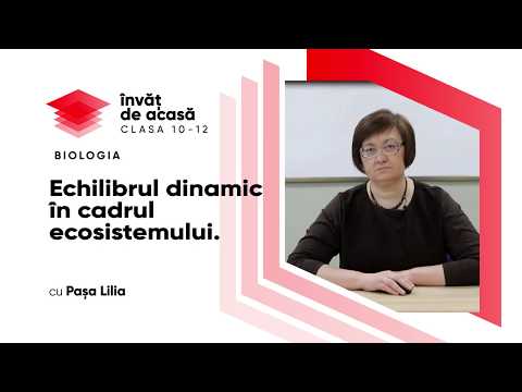 Video: Ce este echilibrul punctat în biologie?