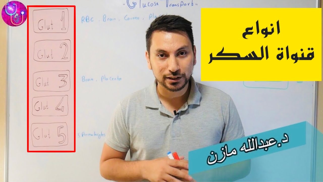 انواع قنوات السكر Glucose transports الفروقات وتاثير الانسولين عليها