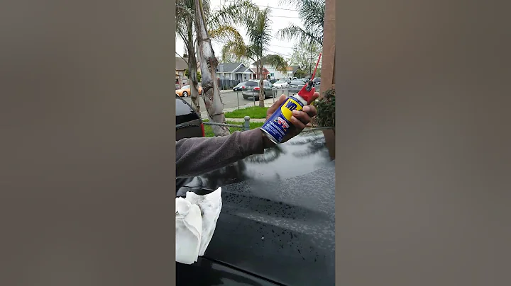 Earl putting WD-40 on headlights in Hood