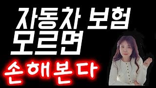 자동차보험 안전하게 가입하는 방법과 가장 저렴하게 가입하는 방법!! [금고엄마]