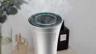 5 Best Air Purifiers You Can Buy