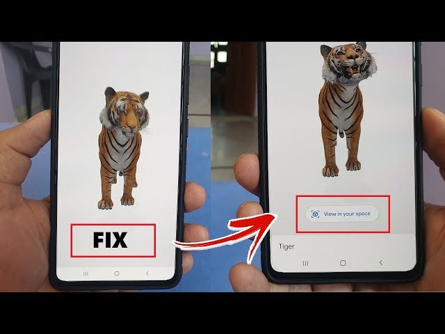 💡TUTORIAL ANIMAIS 3D GOOGLE 🤩 🦈 nadando no quarto, 🐴 passeando na  cozinha, 🐆 na sala, 🐐 sobre a mesa, 🦔 caminhando na sua cama Quer ver  isso tudo e