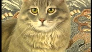 Siberian cat Gordei (Сибирский кот Гордей) 2. Creator of the Dynasty Siberian cat Gordei (Сибирский кот Гордей) 2. Creator of the Dynasty