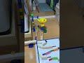 【ルフィ】本日のピタゴラスイッチ #marblerun #dominos #rubegoldberg #woodentoys #ピタゴラスイッチ #tiktok #asmr #marblerace