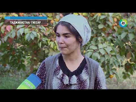 Легендарный Гиссар –