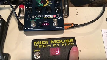 Source Audio Collider switching test