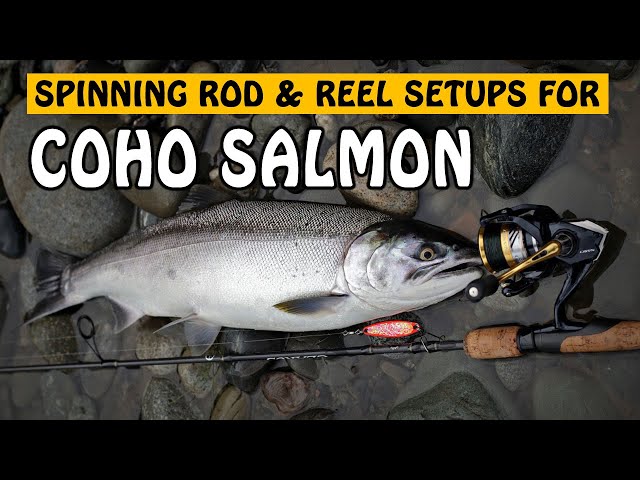 COHO SALMON SPINNING SETUP! My Salmon Spincasting Setup Update