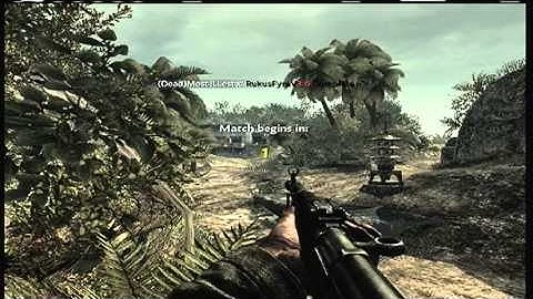 Call of Duty:WaW RukusFyre V3.0 Mod Menu