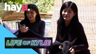Kylie Wants To Live On A Farm | Life of Kylie