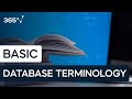 Database Terminology - A Beginners Guide