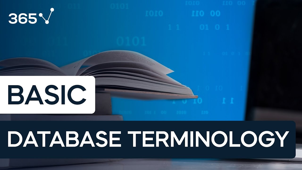 Database Terminology - A Beginners Guide