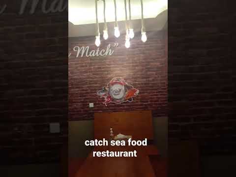 catch sea food /seafood restaurant in dubai/dubai best restaurants/cheapest restaurant in dubai