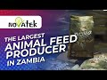 Novatek animal feeds feeding for prosperity