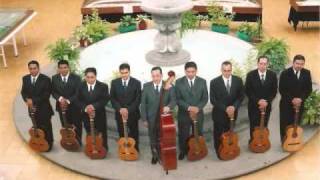 Video thumbnail of "RONDALLA DE CELAYA "ESTE TERCO CORAZON" .wmv"