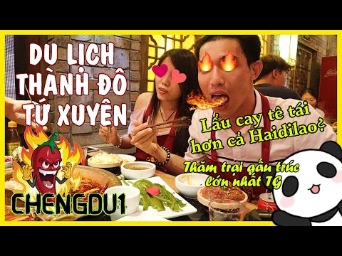 Video: Ở Georgia, Khách Du Lịch Trong Rừng Nhìn Thấy Một Yeti Và Dùng Súng Bắn Anh Ta