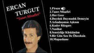 Ercan Turgut - Firuze Resimi