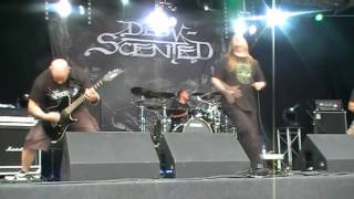 Into the Grave festival - Dew-Scented live 2012