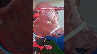 Birmingham Moseley #afc #bournemouth #rugby #club #viralshort