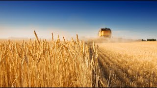 Насколько развито сельское хозяйство в Казахстане? «Рейтинг развития» | Jibek Joly TV