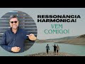 Sou ressonante harmnico hliocouto heliocouto consciousness conscincia rh