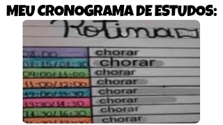 1 HORA!! MEMES EM IMAGENS ENGRAÇADOS - Meu cronograma de estudos 😭