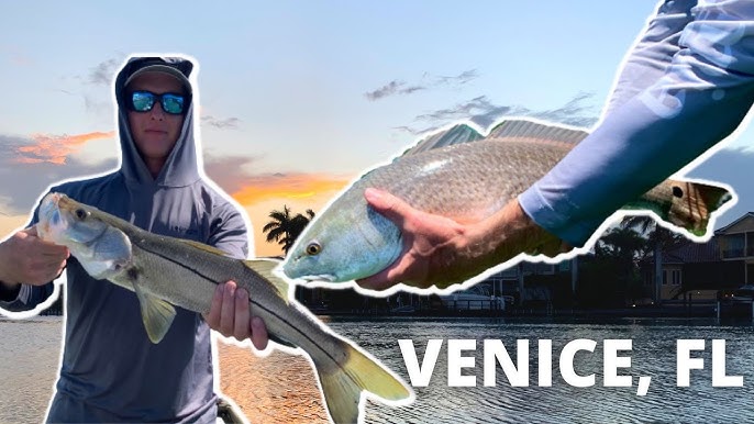 Surf Fishing Venice, FL To Inshore Fishing At Crane Creek