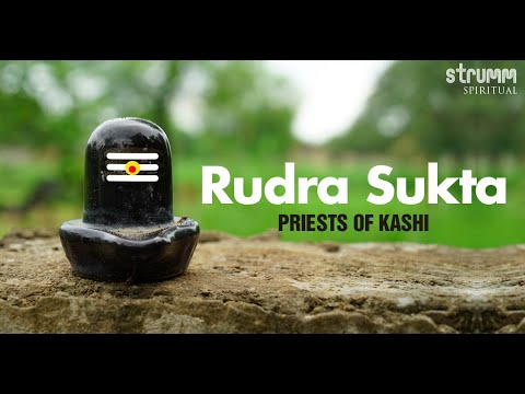 Rudra Sukta I Priests of Kashi I Ved Vrind