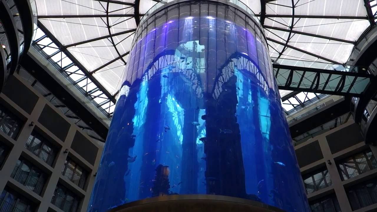 world s largest free