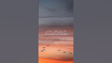 ألم يروا إلى الطير مسخرات في جو السماء.  القارئ محمد ايوب رحمه الله،  سورة النحل #القرآن_الكريم  🤍🤍