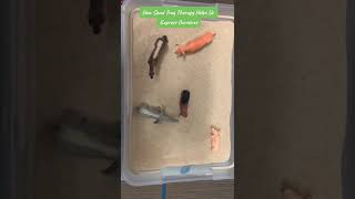 How to use sand tray and miniatures for therapy? #childcounseling #childcounselor #counselling