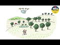 Quiz sur les Drones