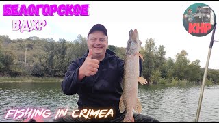 КРЫМ, Белогорское водохранилище рыбалка