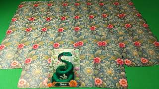 видео: Дом Рыб в БРЛ. картинка: Дом Рыб в БРЛ.