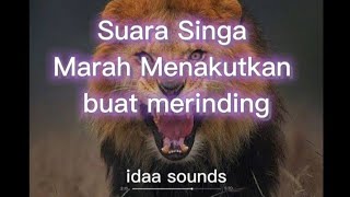 Suara Singa Marah Menakutkan no copyright| Lion Sound effect no copyright