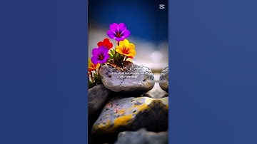 💙سورة النساء الآية 💙 140💙