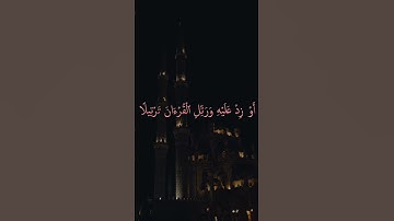 ياايها المزمل قم الليل الا قليلا #قرآن #تلاوة_خاشعة #quran #trending #اكسبلور