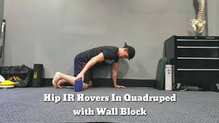 Hip IR Hovers In Quadruped