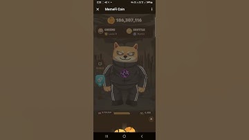 memefi 6 August secret code # 6 August memefi secret codes #6 August memefi code