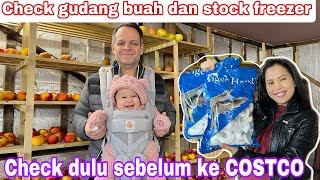 CHECK GUDANG BUAH DAN STOCK FREEZER SEBELUM KE COSTCO