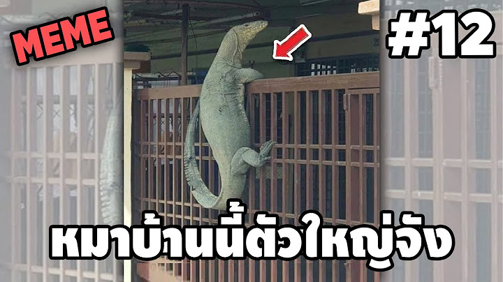 ภาพนี้ก็ฮาเหมือนกันนะเนี้ย #12 SS8 [ พากย์นรก MEME.EXE ] | easy boy