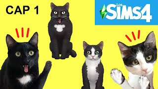 Jugando a los SIMS 4 por primera vez con mis gatos graciosos Luna y Estrella 1 / Videos de gatitos