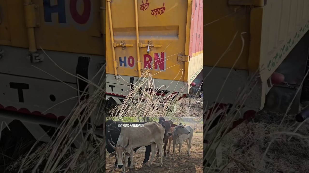 गौतस्करी इन गाड़ियों में होती है, जिनको कोई चेक नहीं करता सिवाए गौरक्षकों के, शासन प्रशासन????