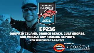 Dauphin Island, Orange Beach, Gulf Shores and Mobile Bay Fishing Reports for September 19-26, 2022