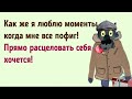 ✔️Я не хорошая и не плохая, я — добрая в злую полосочку. Анекдоты с Волком.#ВГостяхУВолка