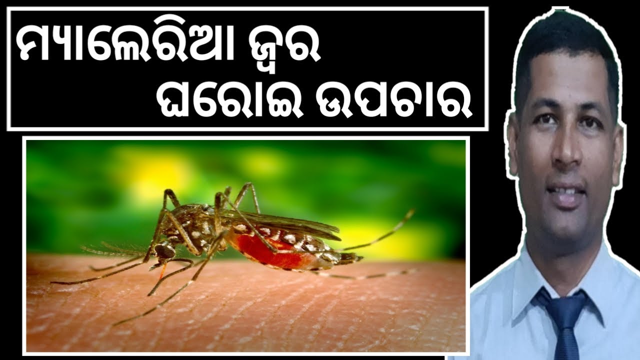 Malaria Fever Home Remedies | Symptoms Of Malaria Fever | How to Care